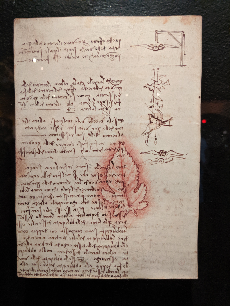 Illustration for article titled Pictures from the Reagan Library: The da Vinci Exhibit